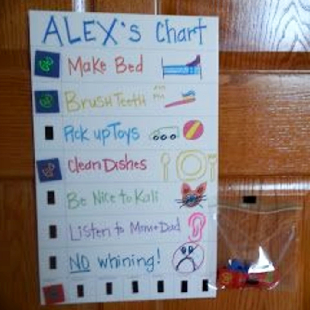 Family Chore Chart Ideas - Mom #goals - #getorganized with these #easydiy #chorecharts and #cleaningschedules - super smart #organizationideasforthehome - this family is #gettingorganized and #springcleaning