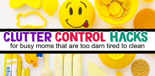 Clutter Control for Moms – How To Organize Your Family, Your Home AND Your Life