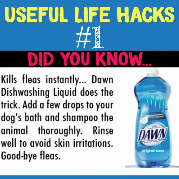 Useful cleaning hack using Dawn dishwashing soap to kill fleas.. Useful life hacks to make life easier - household hacks... MIND BLOWN!