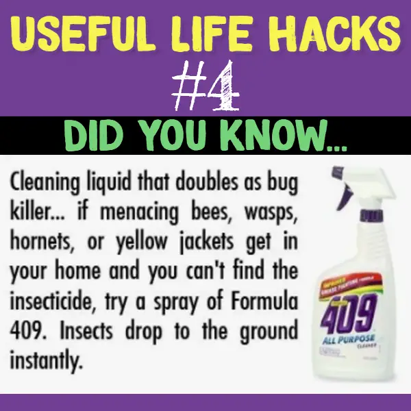 Clever hack using a common cleaner as a bug and insect killer.. Useful life hacks to make life easier - household hacks... MIND BLOWN!