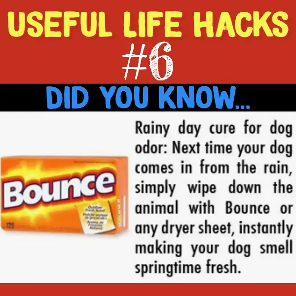 Does your dog stink? Try this. Useful life hacks to make life easier - household hacks... MIND BLOWN!