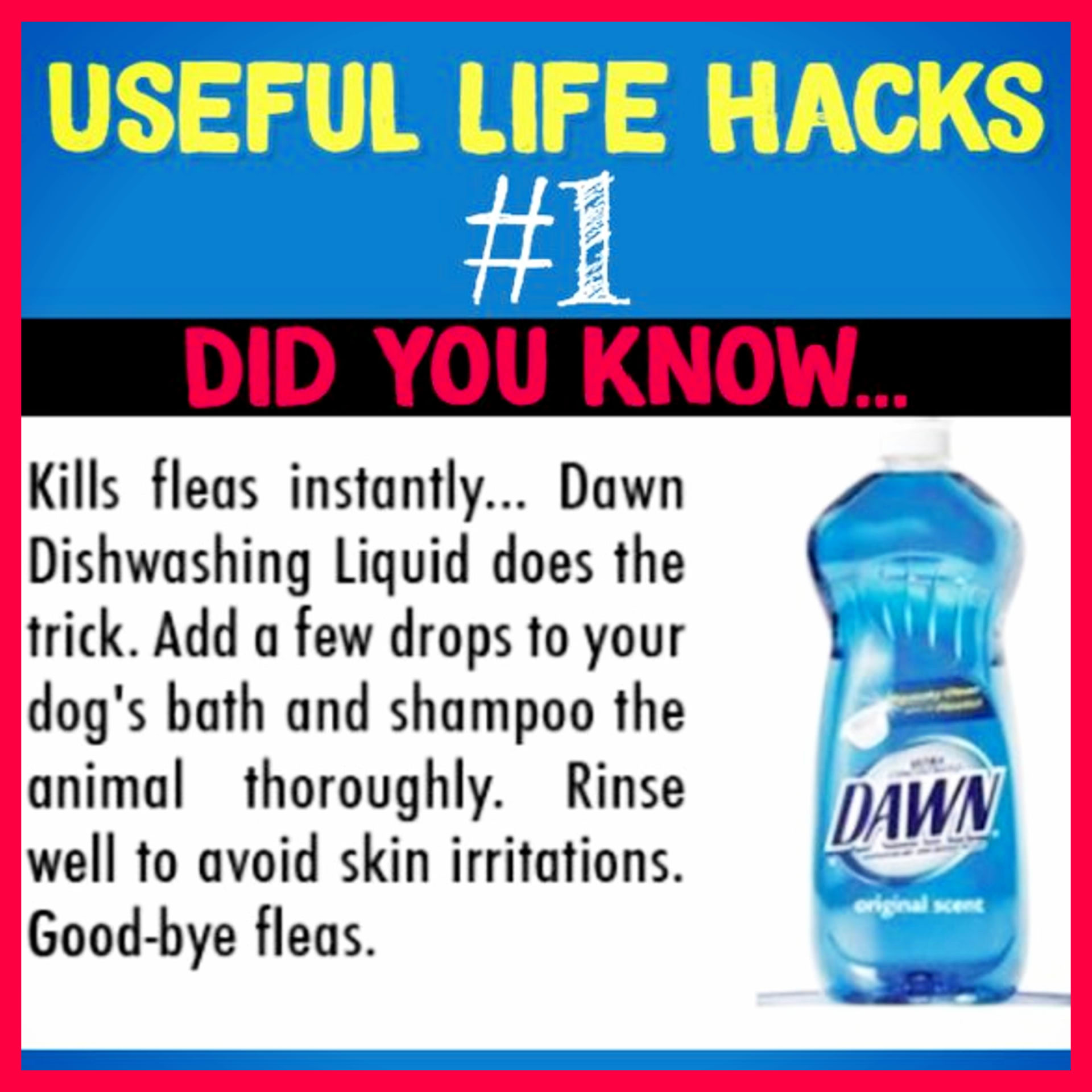 Useful Life Hacks - MIND BLOWN!  Households life hacks and good to know hacks tips and lifehacks - these household hacks, cleaning tips & tricks are such helpful hints and life changing lifehacks every girl should know.  How to get rid of fleas naturally - dawn dish soap uses
