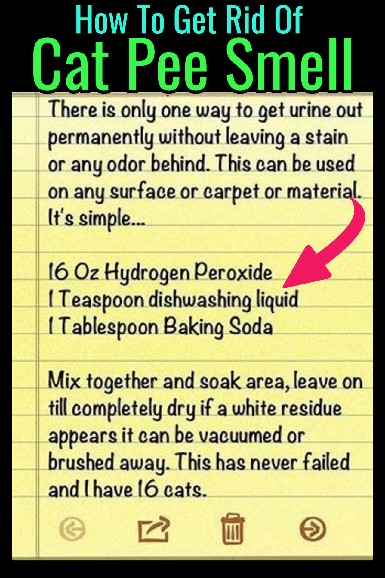 Cat Urine Smell Remover - How To Get Rid Of Cat Urine Pee Smell on carpet, on wood, on tile, on concrete, on furniture, on clothes, on couch, on shoes or on ANY surface - Cat Pee Smell Remover-DIY Enzyme Cleaner for Cat Urine