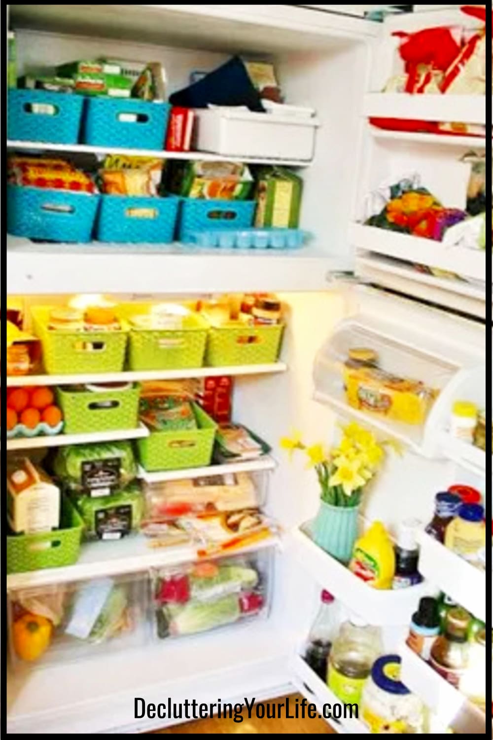 organized refrigerator with dollar tree store baskets