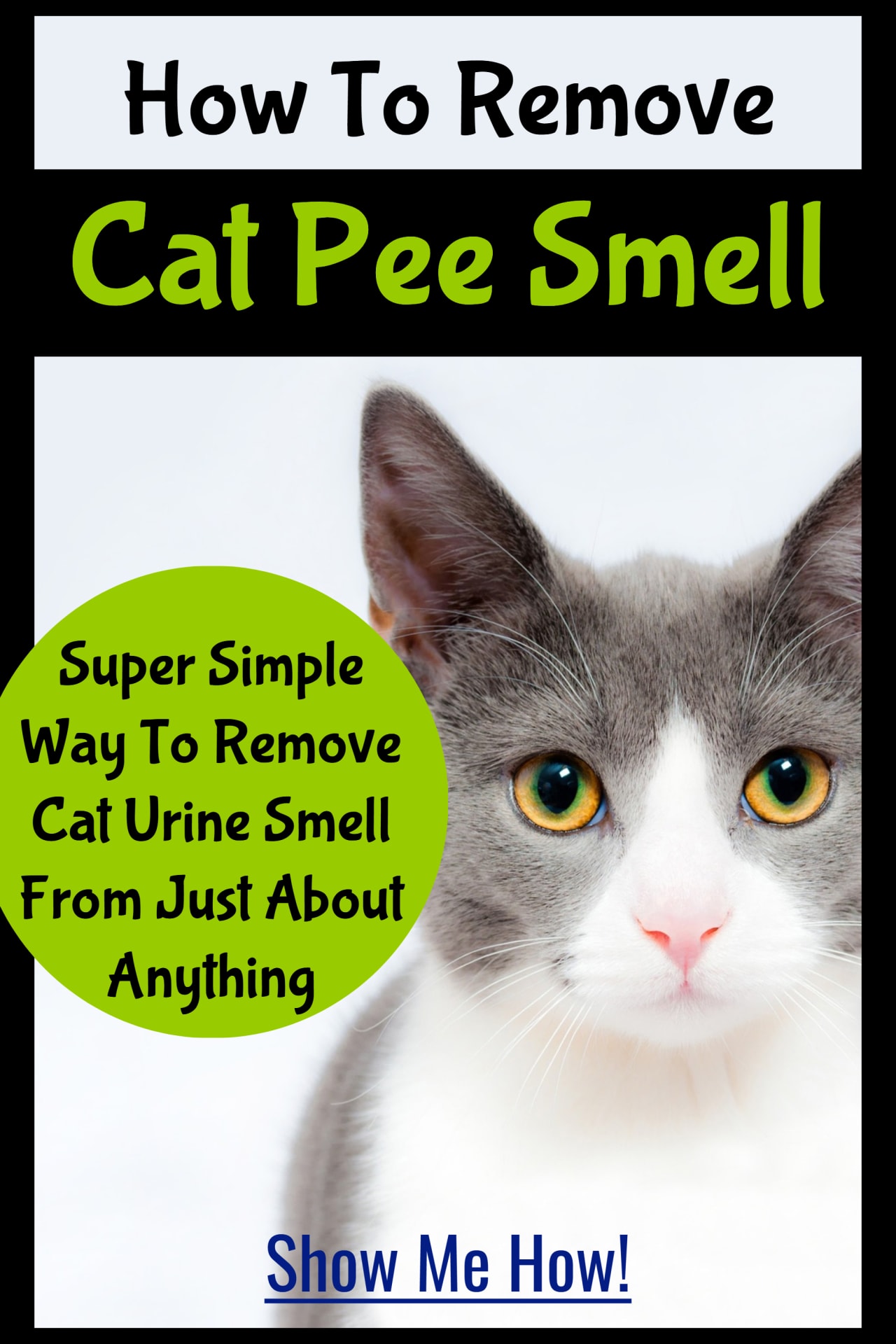 Cat Pee SMELL!  How to remove cat pee smell from carpet, clothes, fabrics, flooring - eliminate cat urine smell from everything - easy DIY cat pee smell remover