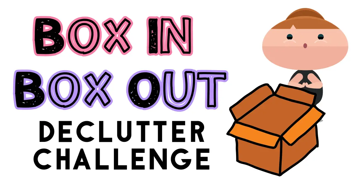 Decluttering Club Get Rid Of It Challenge - the best way to prevent clutter. Box In Box Out Declutter Challenge
