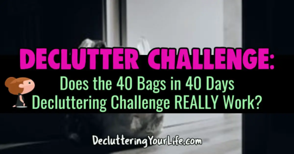 Daily Declutter Challenge - 40 Bags in 40 Days...does this decluttering challenge really work to help you declutter and organize your home one day at a time?