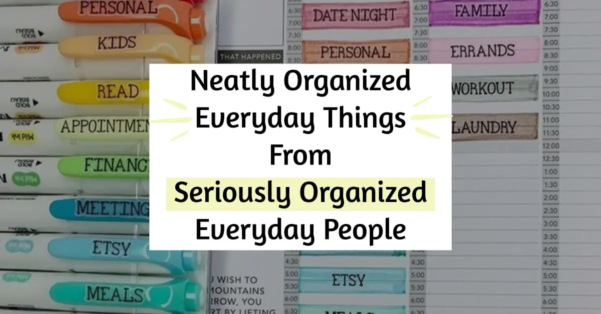 organized everyday things