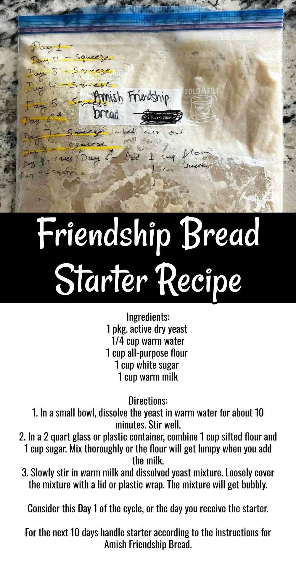 Amish friendship bread starter recipe