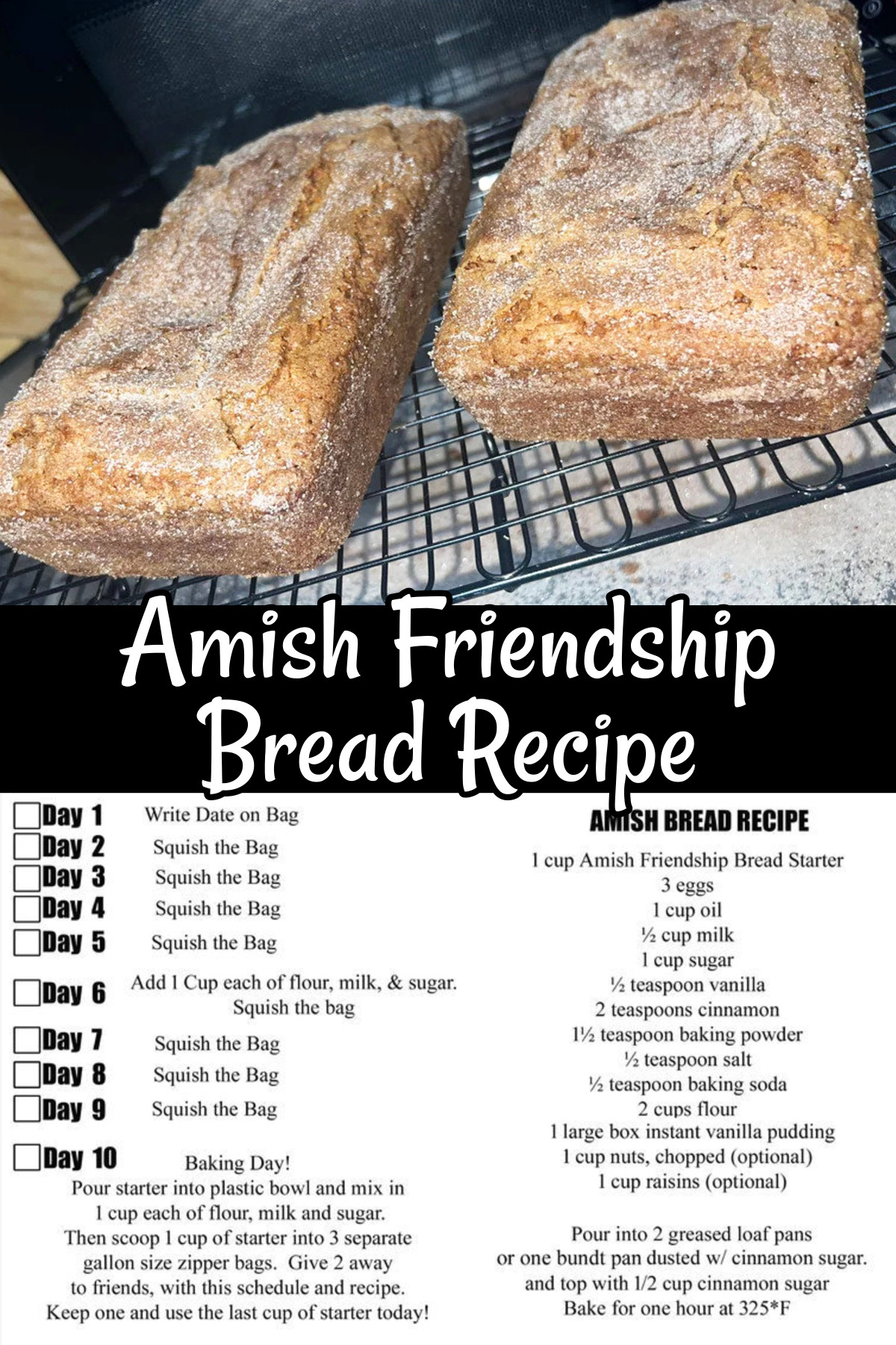 friendship bread recipe and instructions