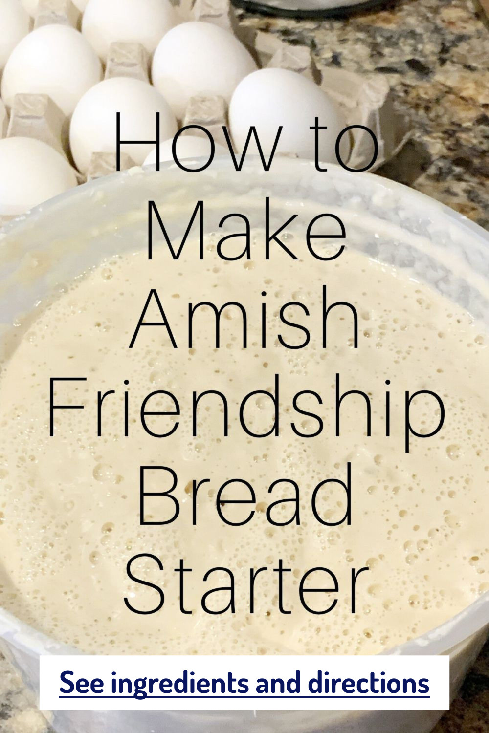 How To Make Amish Friendship Bread Starter