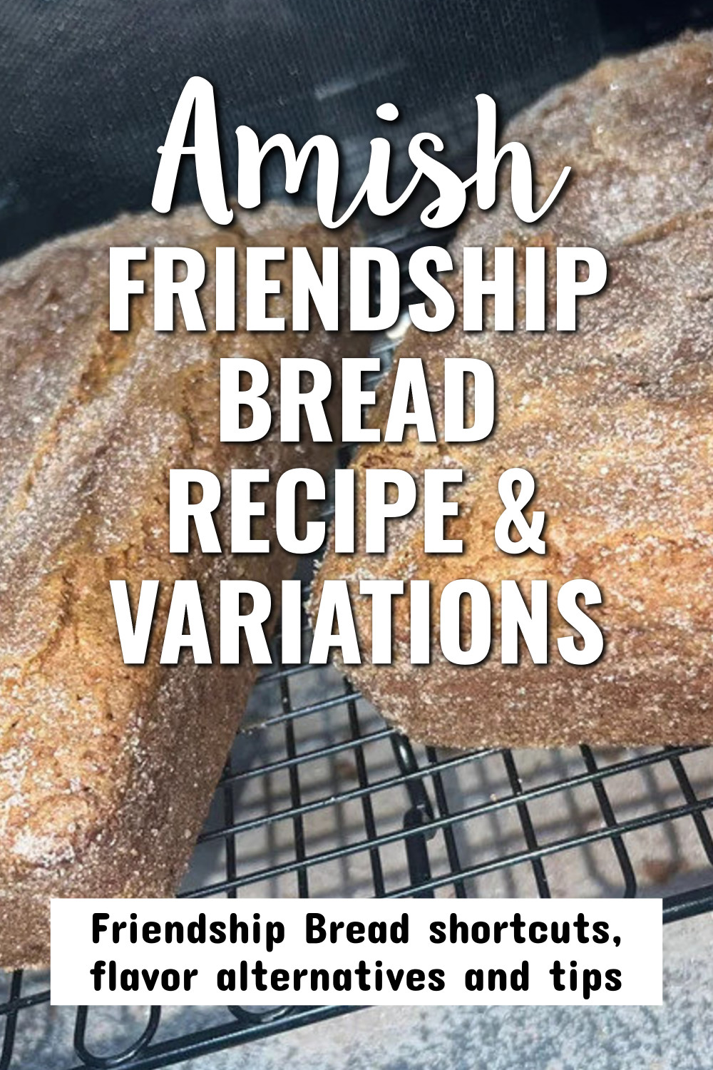 Amish Friendship Bread Recipes, Starter Shortcuts, Flavor Variations, and Baking Tips