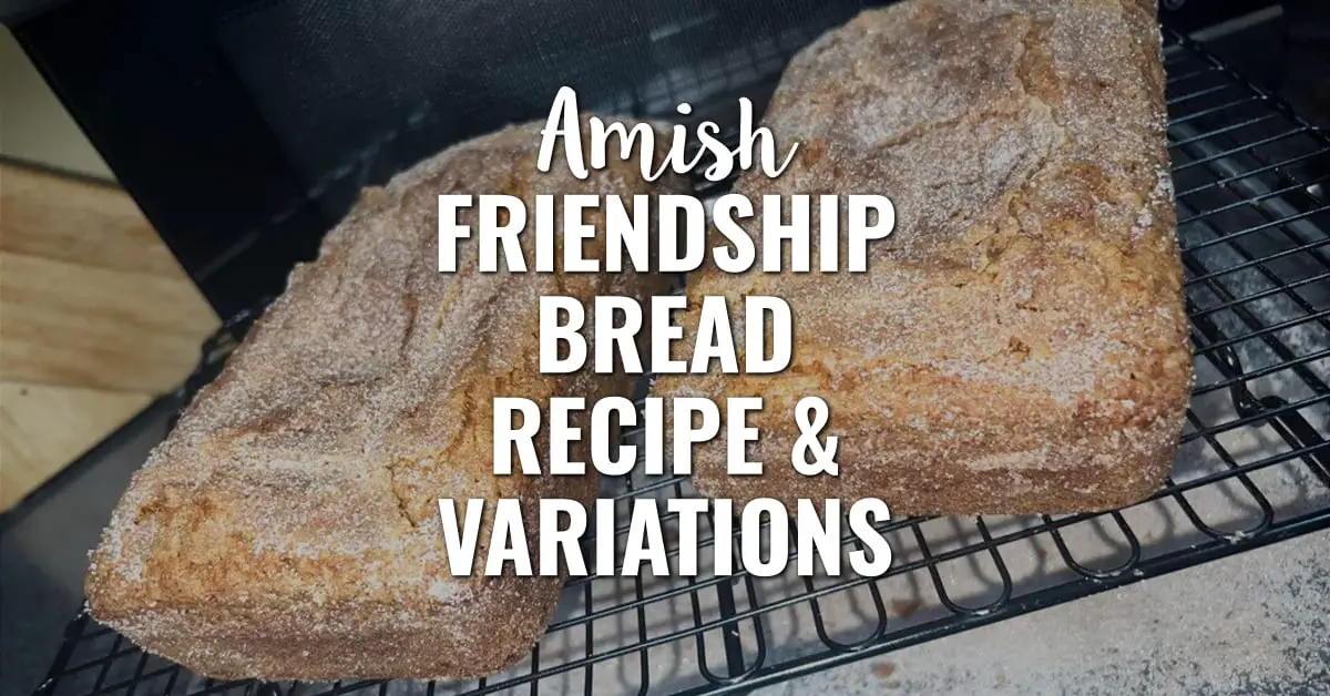 friendship bread starter and recipe variations